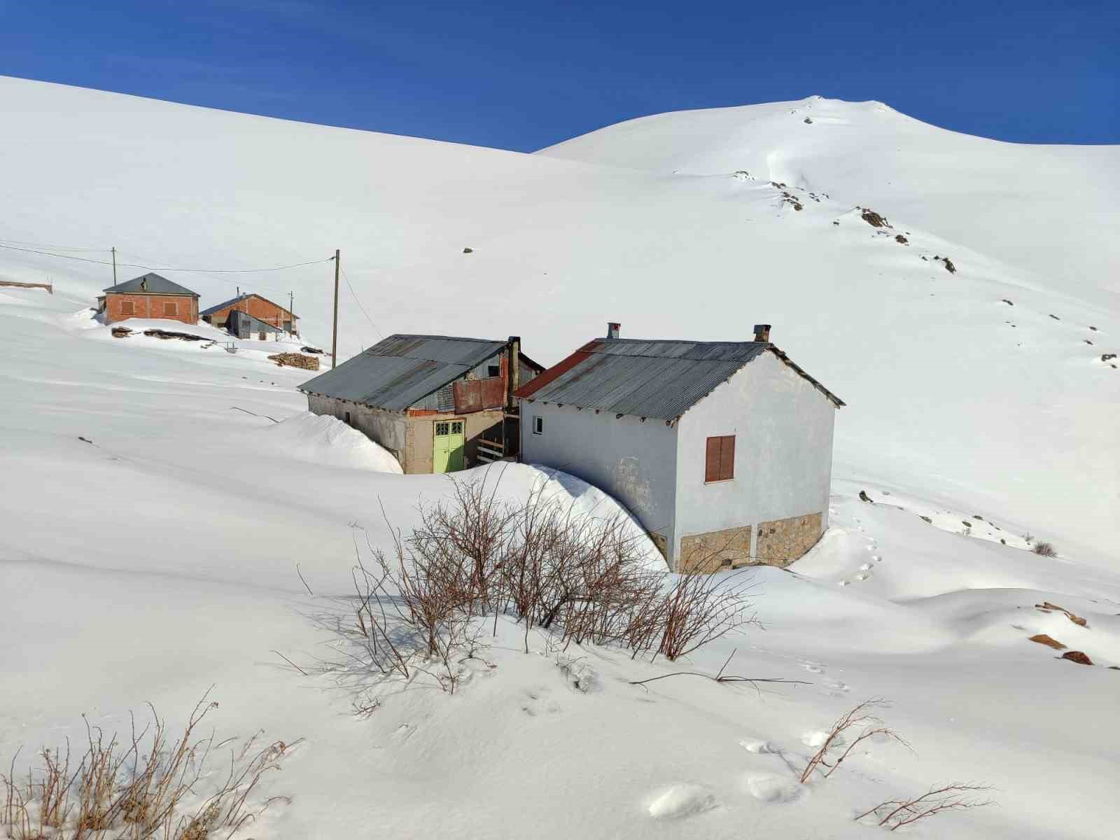 Bayburt’ta ayı saldırılarının yaşandığı yaylada ulaşım sorunu sürüyor
Bayburt’ta ayı saldırılarının yaşandığı yaylada ulaşım sorunu sürüyor