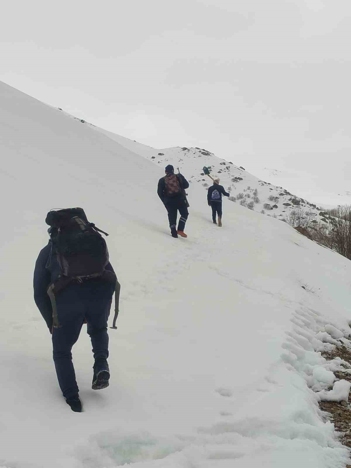 Bayburt’ta ayı saldırılarının yaşandığı yaylada ulaşım sorunu sürüyor
Bayburt’ta ayı saldırılarının yaşandığı yaylada ulaşım sorunu sürüyor