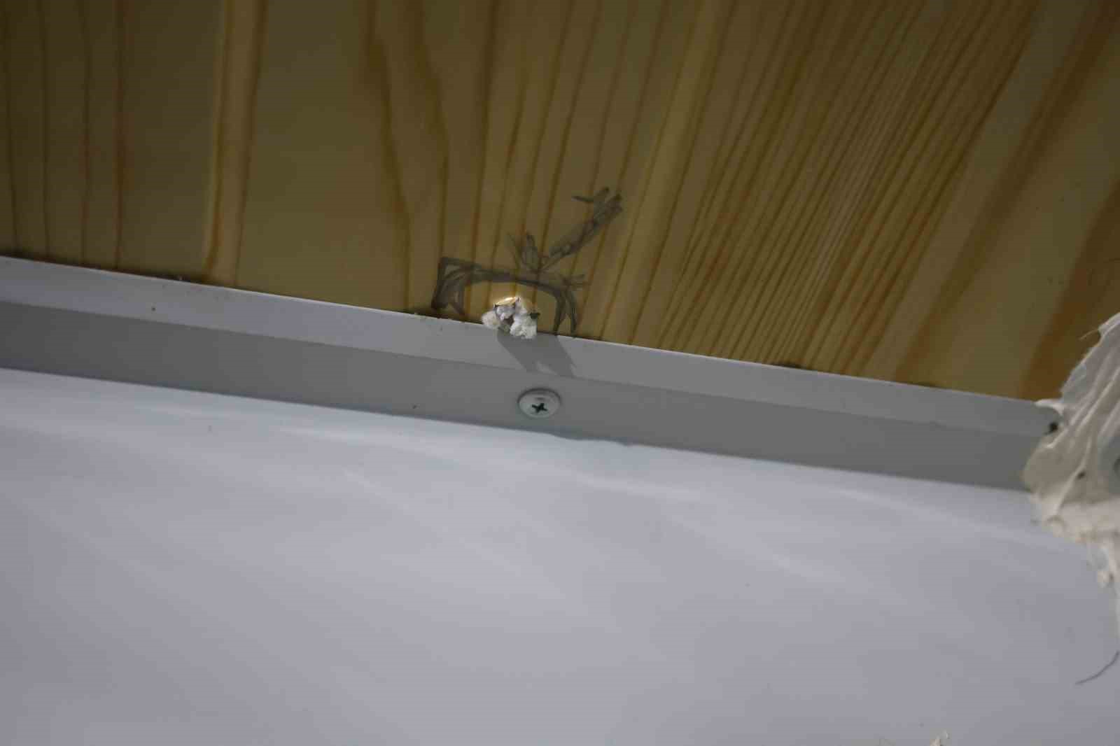 Bayram günü konteyneri delip geçen yorgun merminin kafasına isabet etmesiyle kabusu yaşadı
