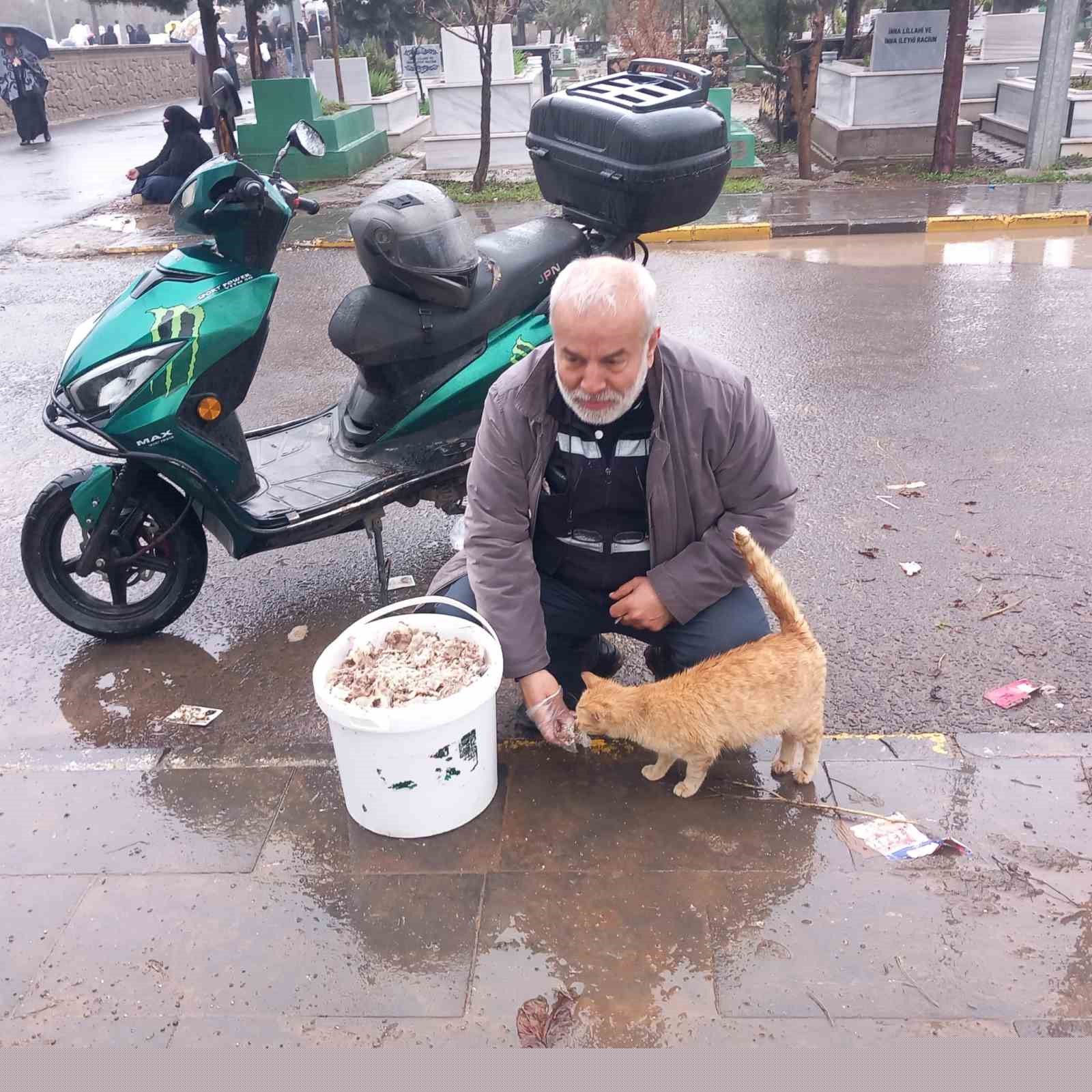 Bayramda sokak hayvanlarını unutmadı
