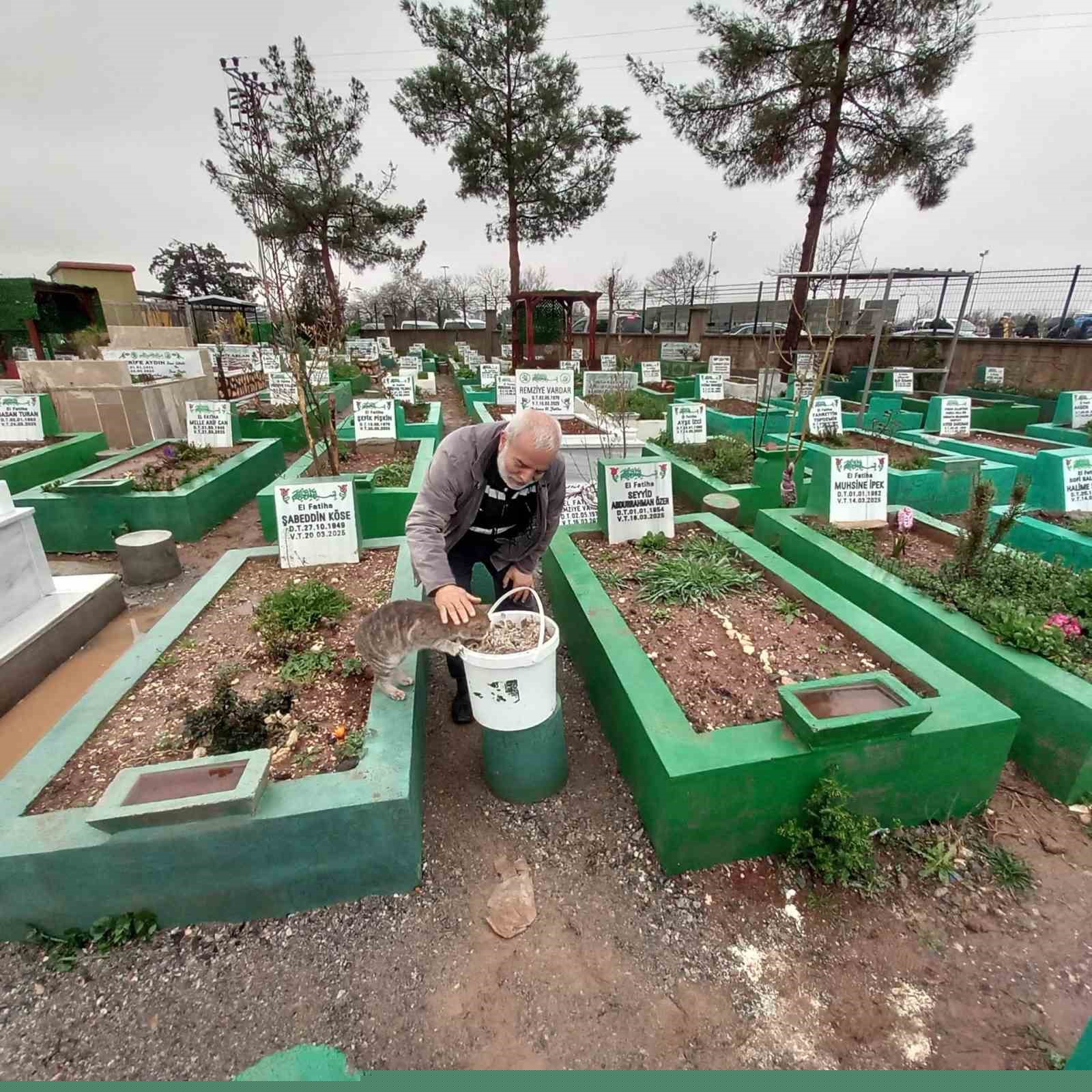 Bayramda sokak hayvanlarını unutmadı
