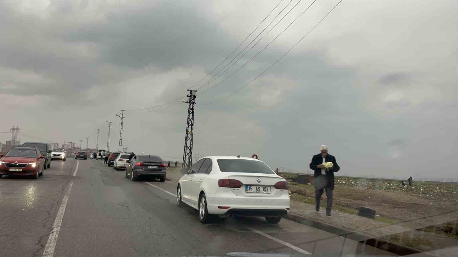 Bedava lahanayı duyan yağmura rağmen tarlaya akın etti
