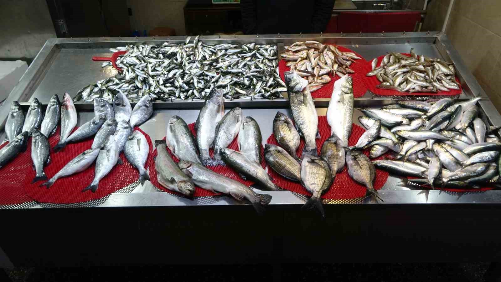 Beklenen Gürcistan hamsisi gelmeyince tezgahlar buzhane hamsisine kaldı
Beklenen Gürcistan hamsisi gelmeyince tezgahlar buzhane hamsisine kaldı