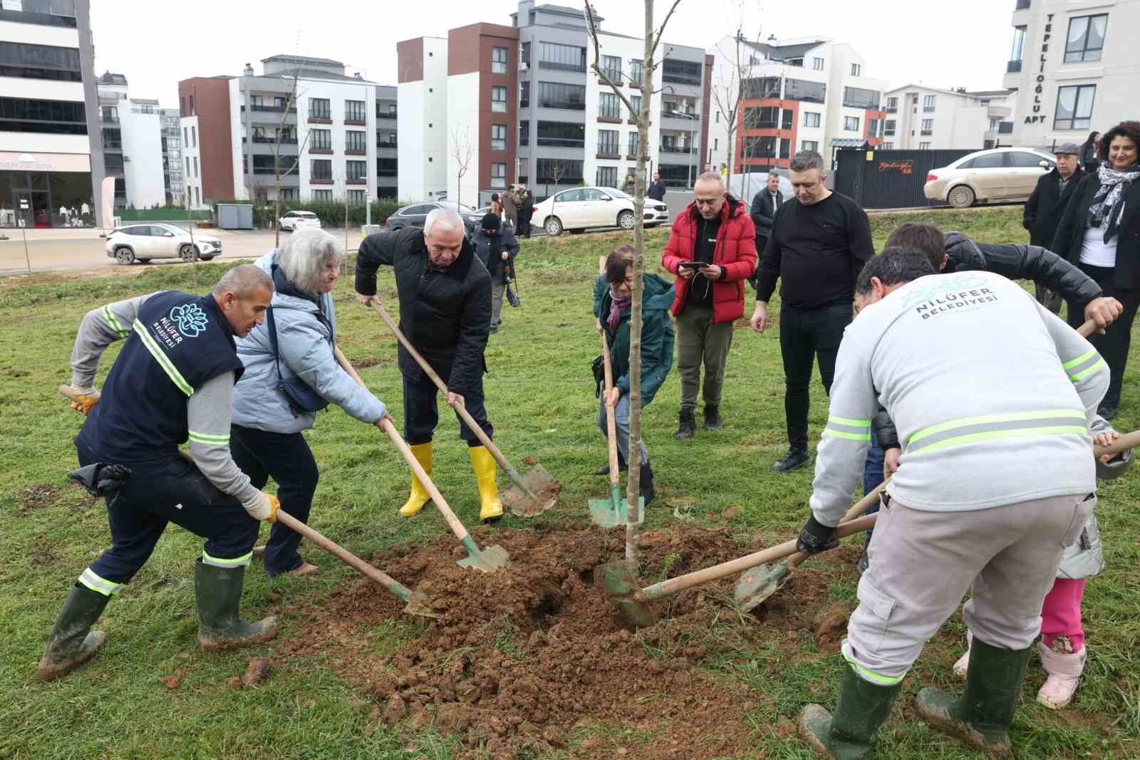 Belediye Başkanından yeşil alan talebine hızlı cevap
