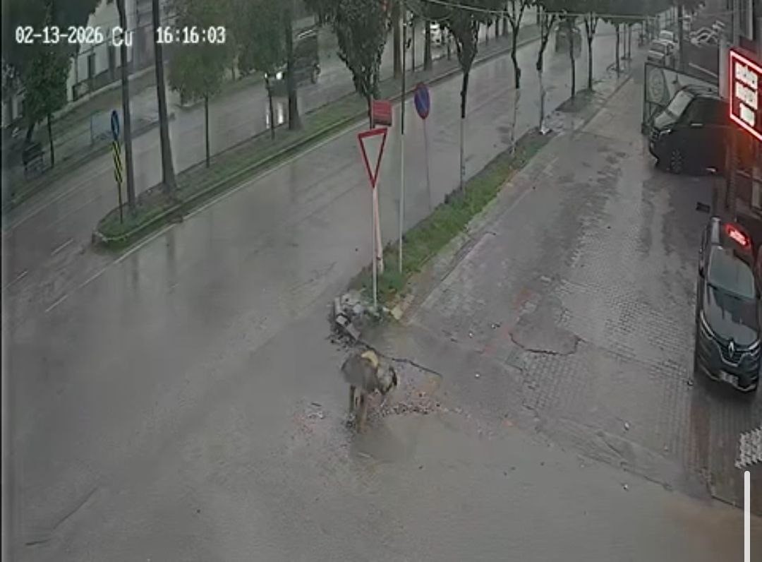 Belediyenin çakıl dökerek kapatmaya çalıştığı çukura takılan kadın hastanelik oldu
