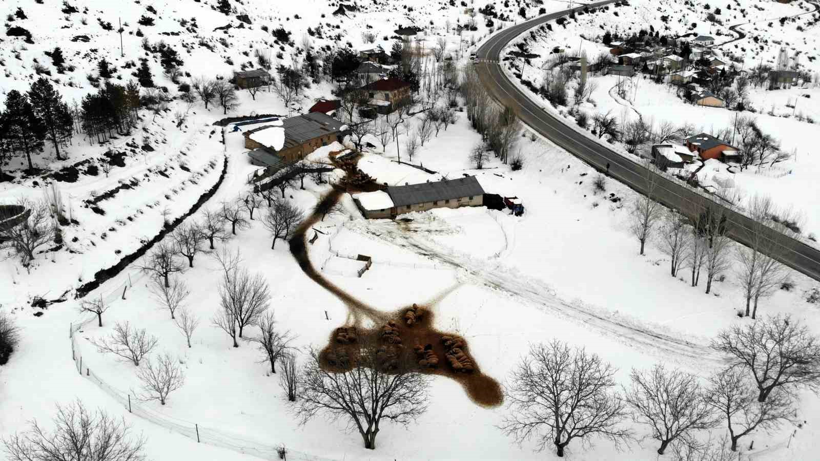 Besiciler uykusuz, kuzular güvende
Besiciler uykusuz, kuzular güvende