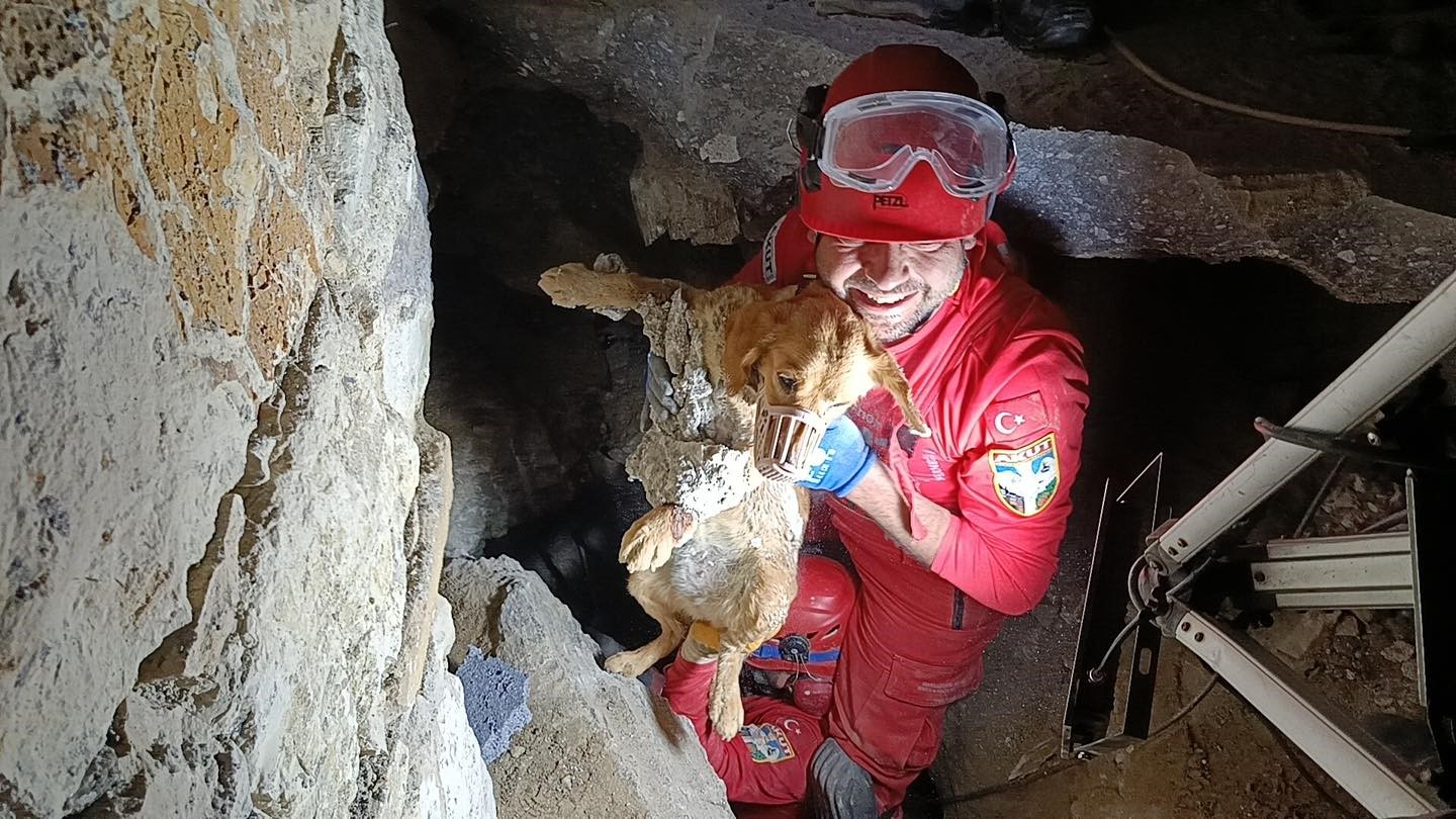 Betonun içine sıkışan köpek kurtarıldı
