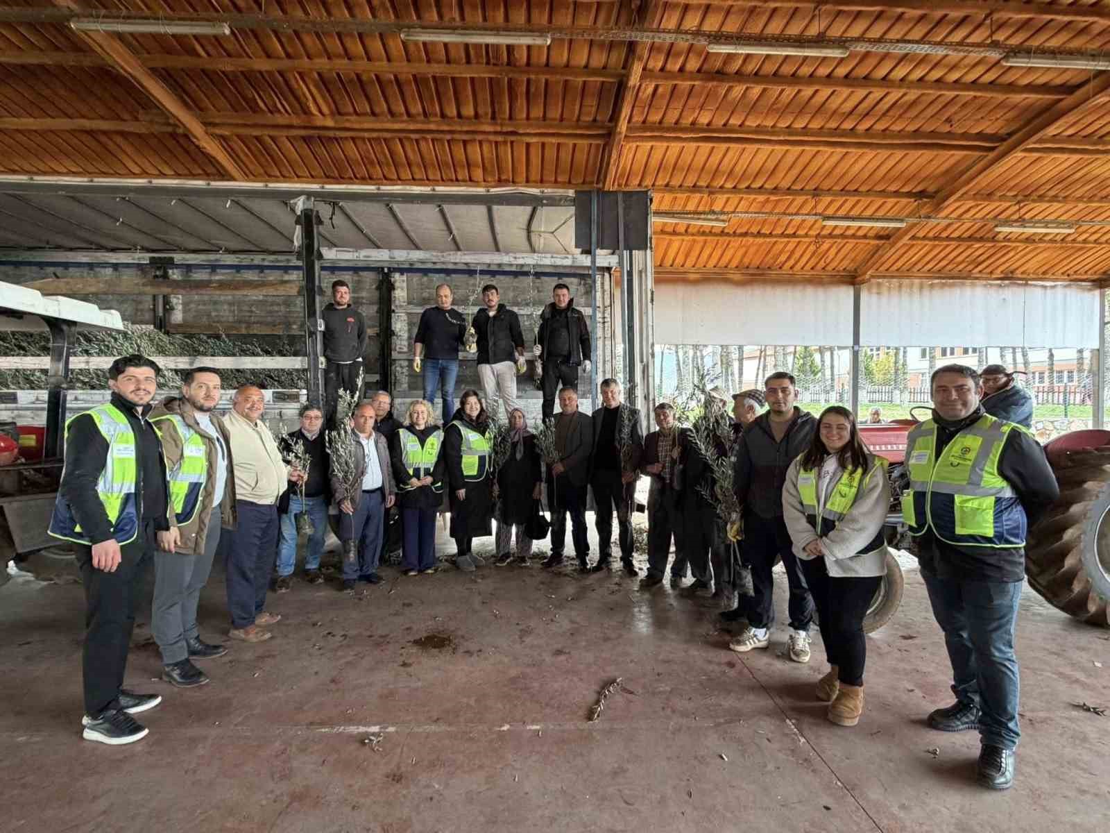 Beyağaç’ta kırsal kalkınmayı destek amacıyla zeytin fidanı dağıtımı gerçekleşti
