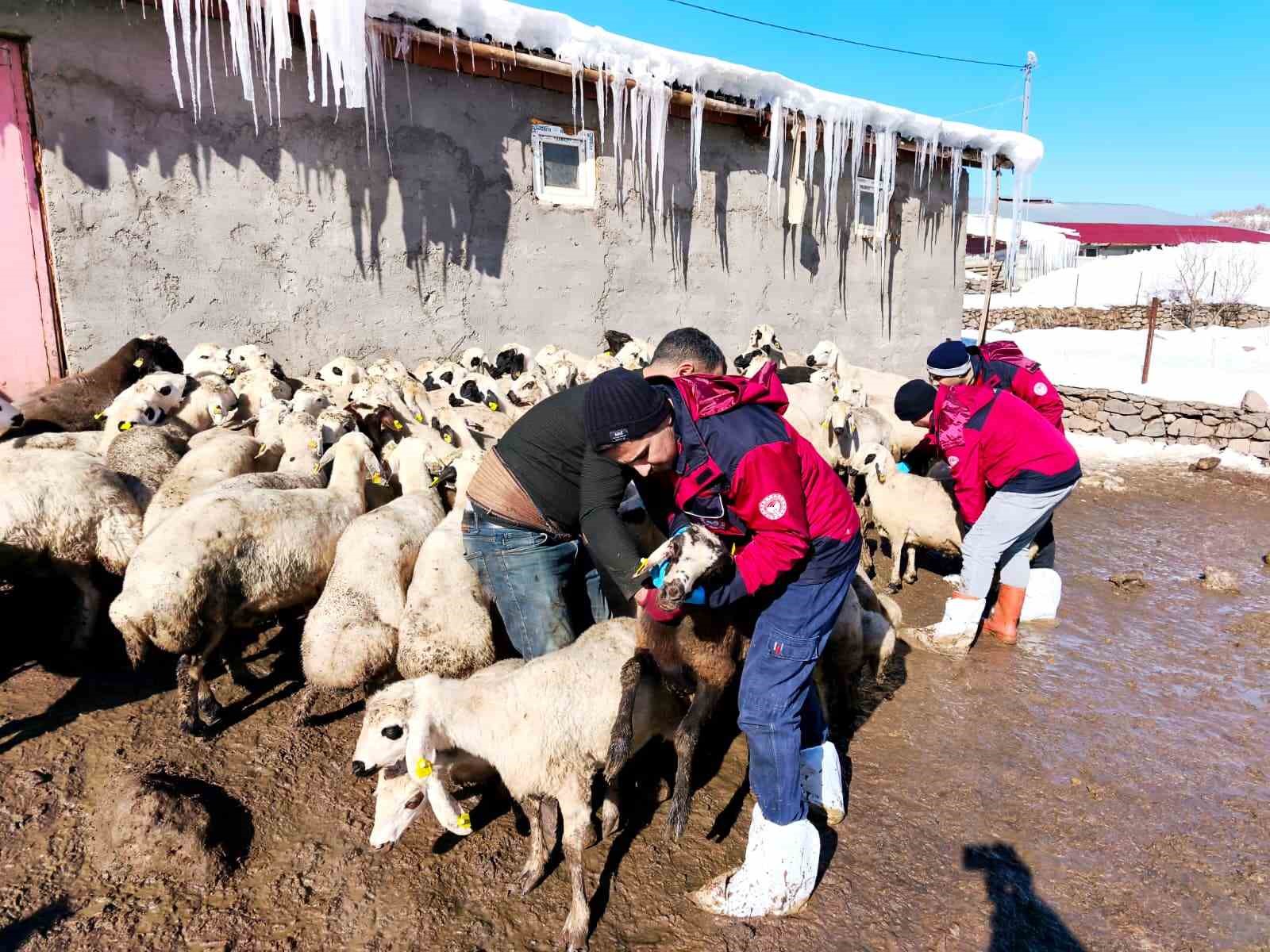 Beyaz esaretin içinde hayat kurtaran eller
Beyaz esaretin içinde hayat kurtaran eller