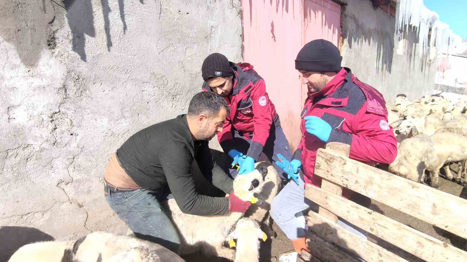 Beyaz esaretin içinde hayat kurtaran eller
Beyaz esaretin içinde hayat kurtaran eller