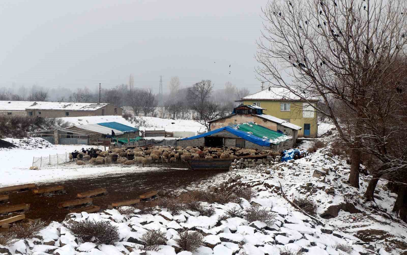 Beyaz örtü altında zorlu yaşam: Erzincan köylerinde kış mesaisi
