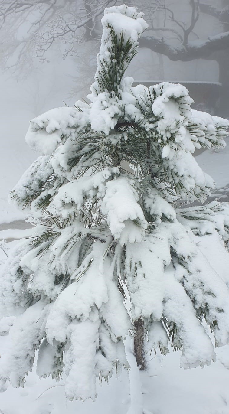 Beyaz örtüyü gören Aydınlılar zirveye tırmandı
