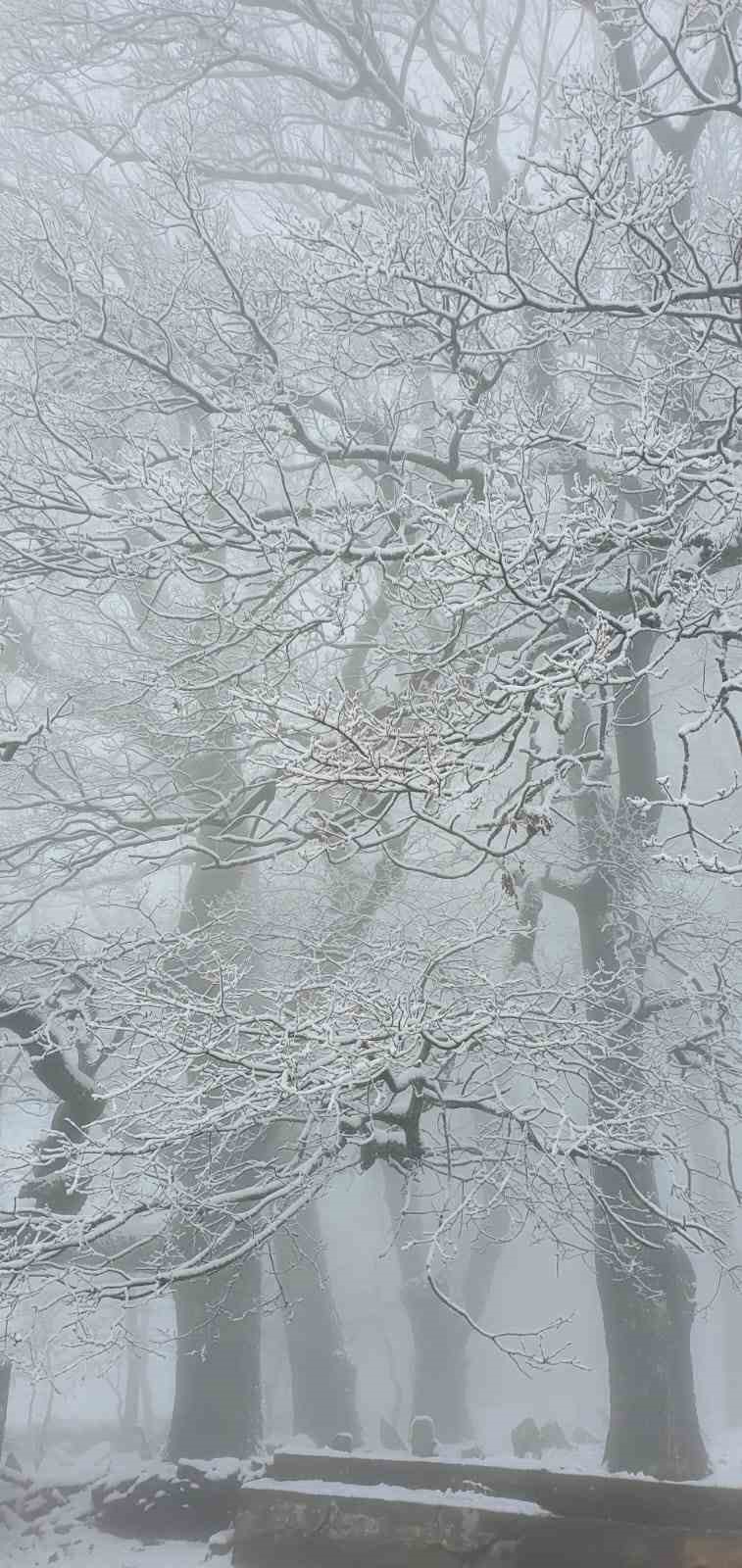 Beyaz örtüyü gören Aydınlılar zirveye tırmandı

