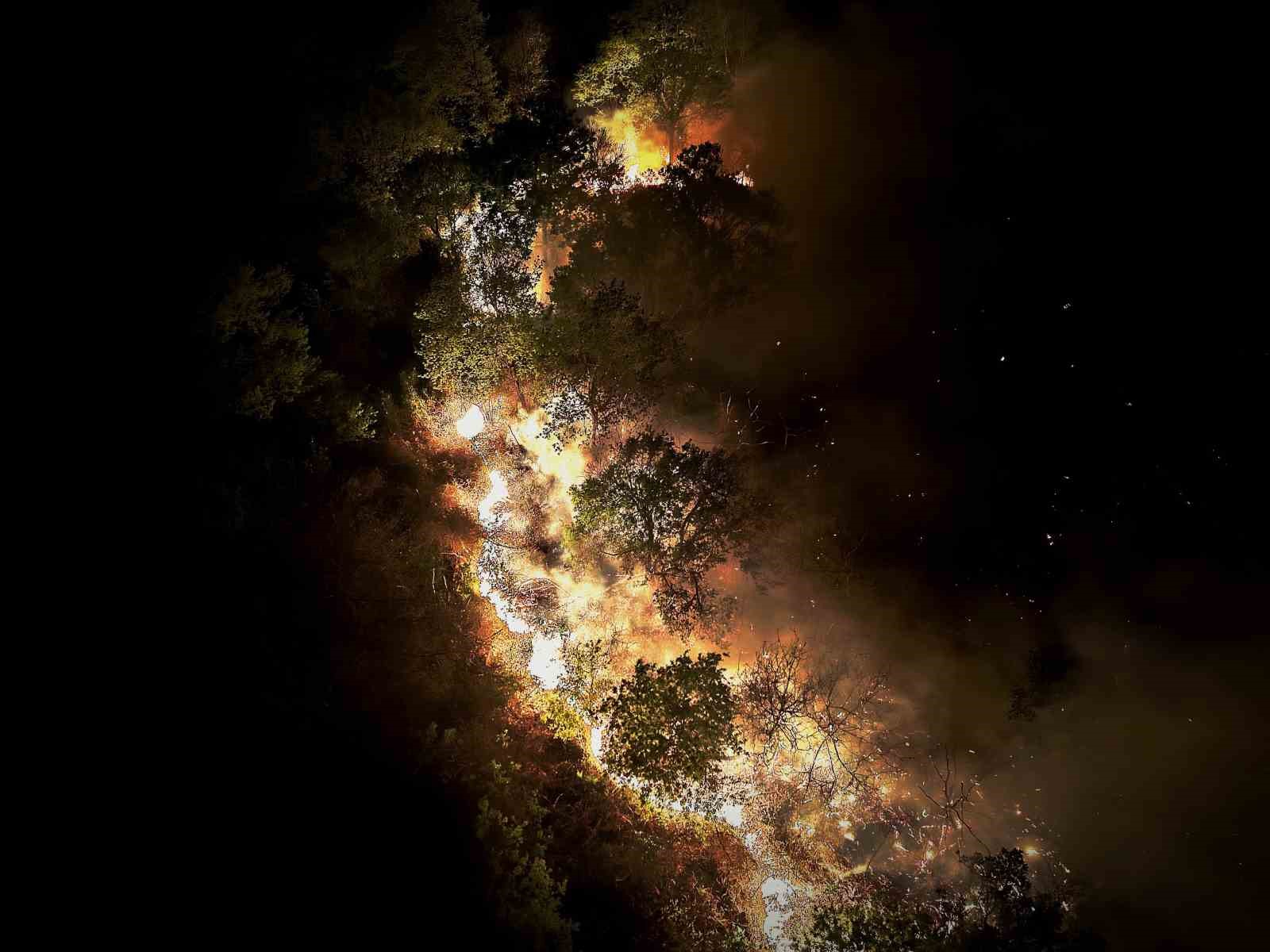 Beykoz’daki orman yangını 9 saatte kontrol alındı
