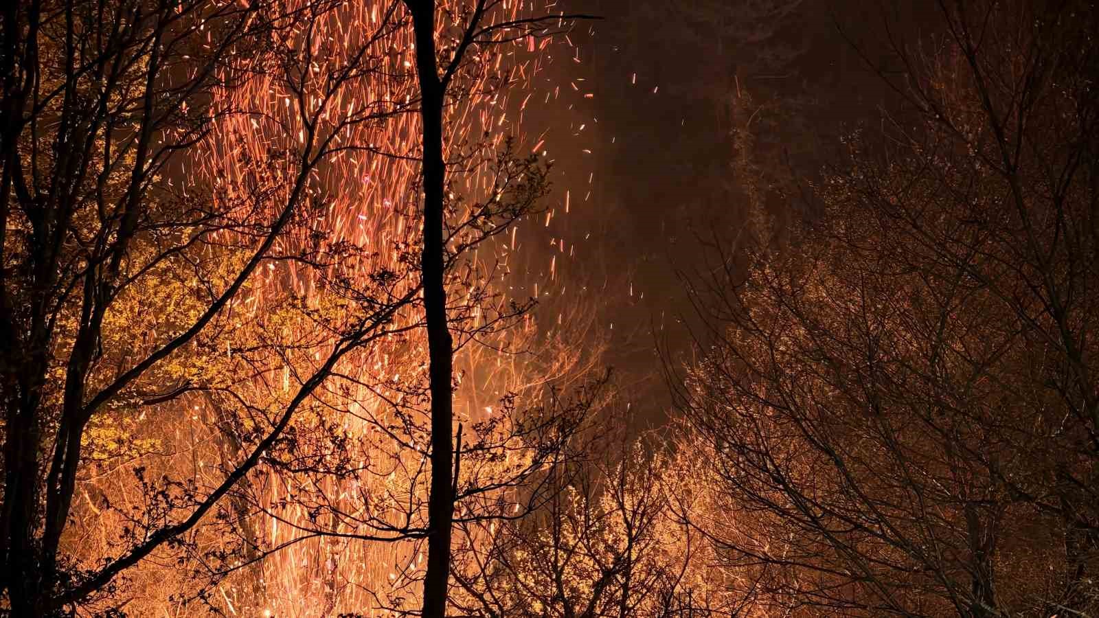 Beykoz’daki orman yangını 9 saatte kontrol alındı
