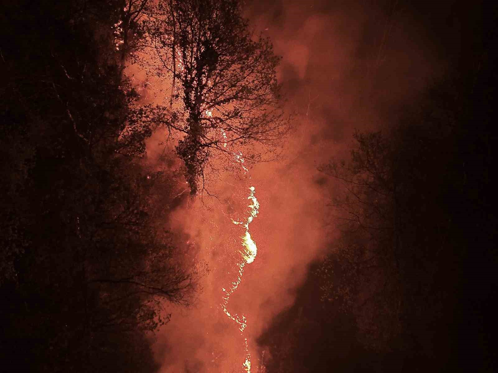 Beykoz’daki orman yangını 9 saatte kontrol alındı

