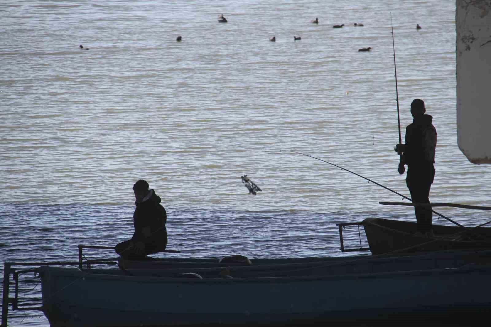 Beyşehir Gölü hafif canlandı, oltalar yeniden tatlı sulara bırakıldı
