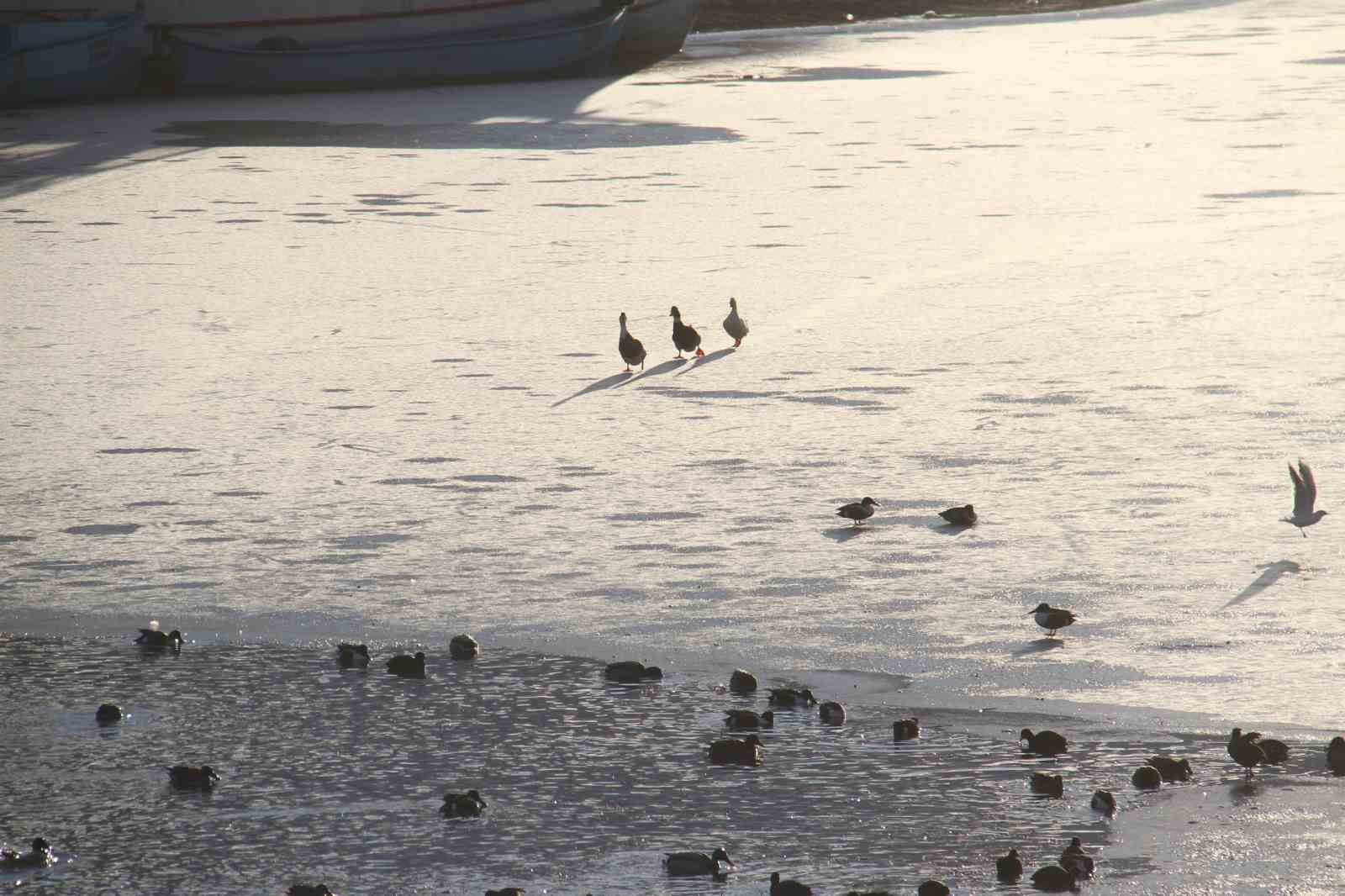 Beyşehir Gölü’nde balıkçıların buzla imtihanı
