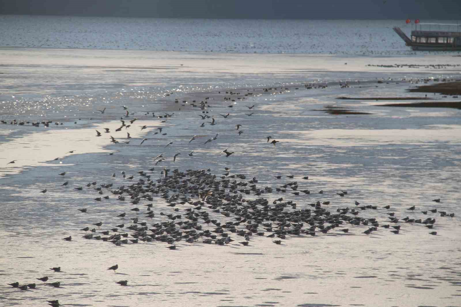 Beyşehir Gölü’nde balıkçıların buzla imtihanı
