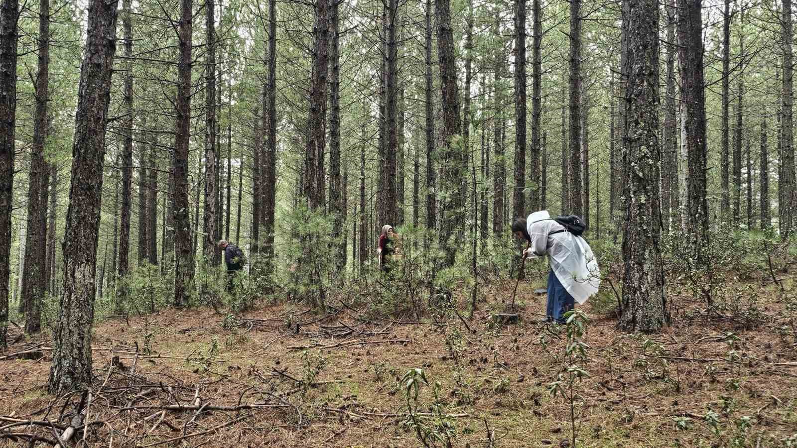Beyşehir’de doğa tutkunları hem yürüyüş hem de kuzugöbeği için buluştu
