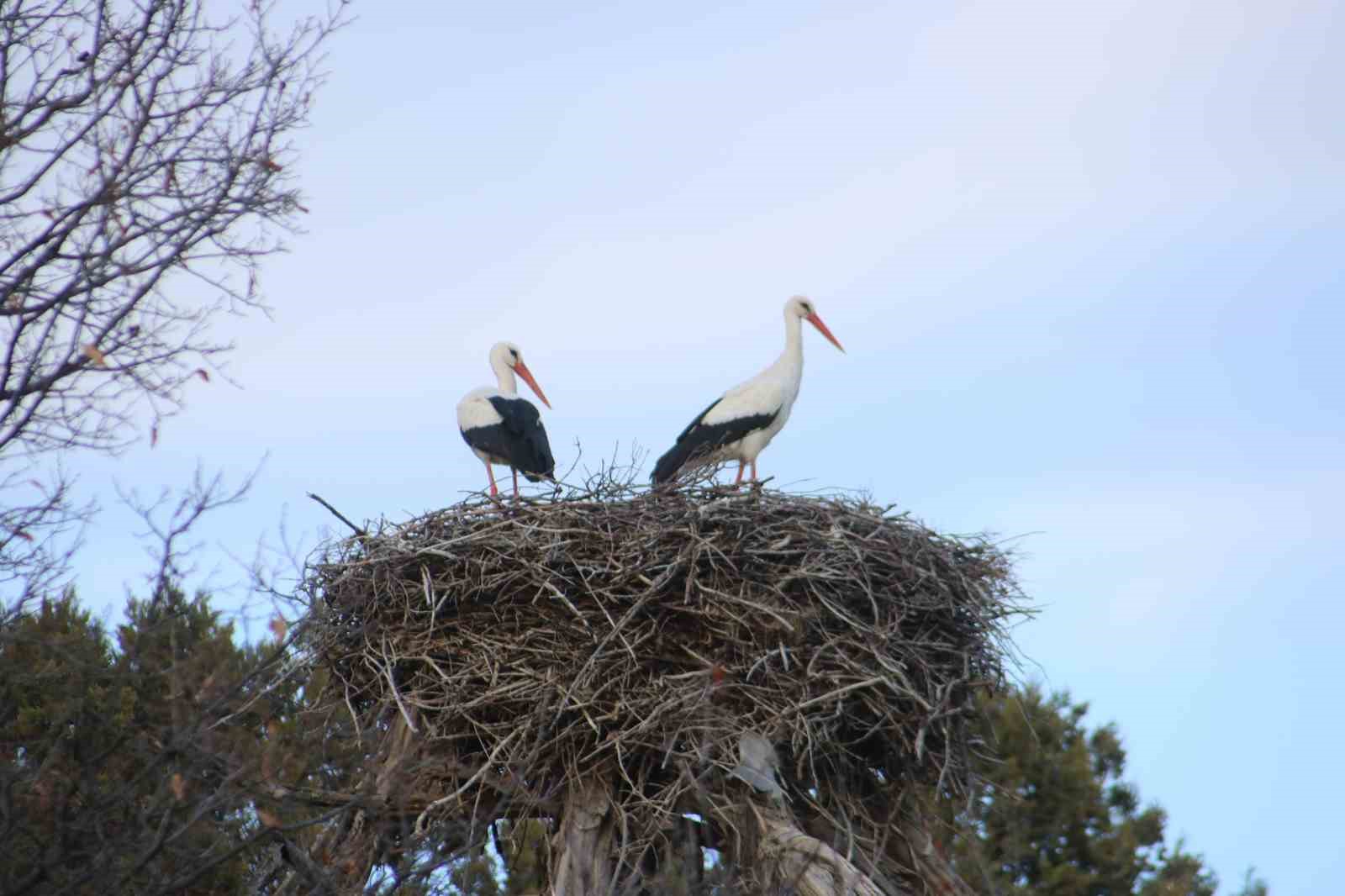 Beyşehir’e bahar leyleklerle geldi
