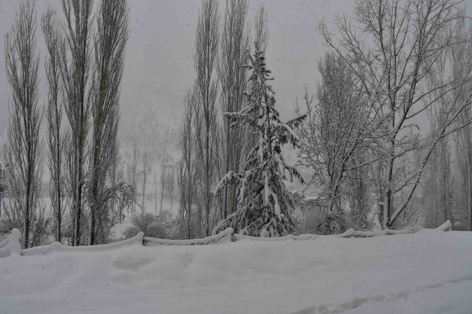 Beytüşşebap ve Uludere ilçelerinde kar yağışı etkili oldu
