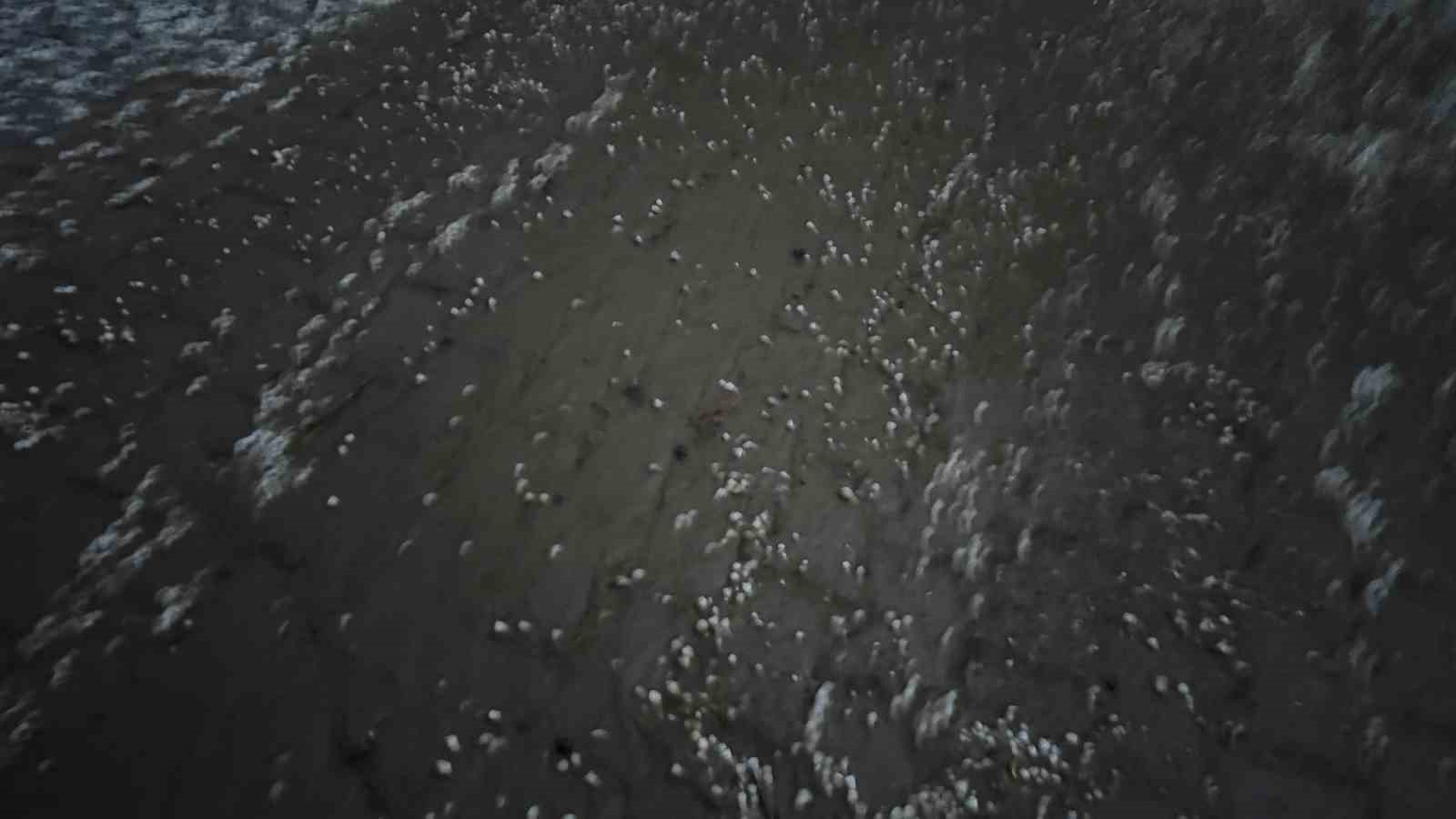 Beytüşşebap’ta dolu yağışı her yeri beyaza bürüdü
