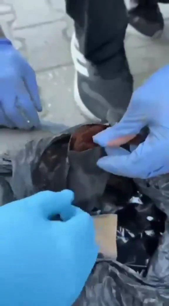 Biga’da uyuşturucu operasyonu: 1 şüpheli tutuklandı
