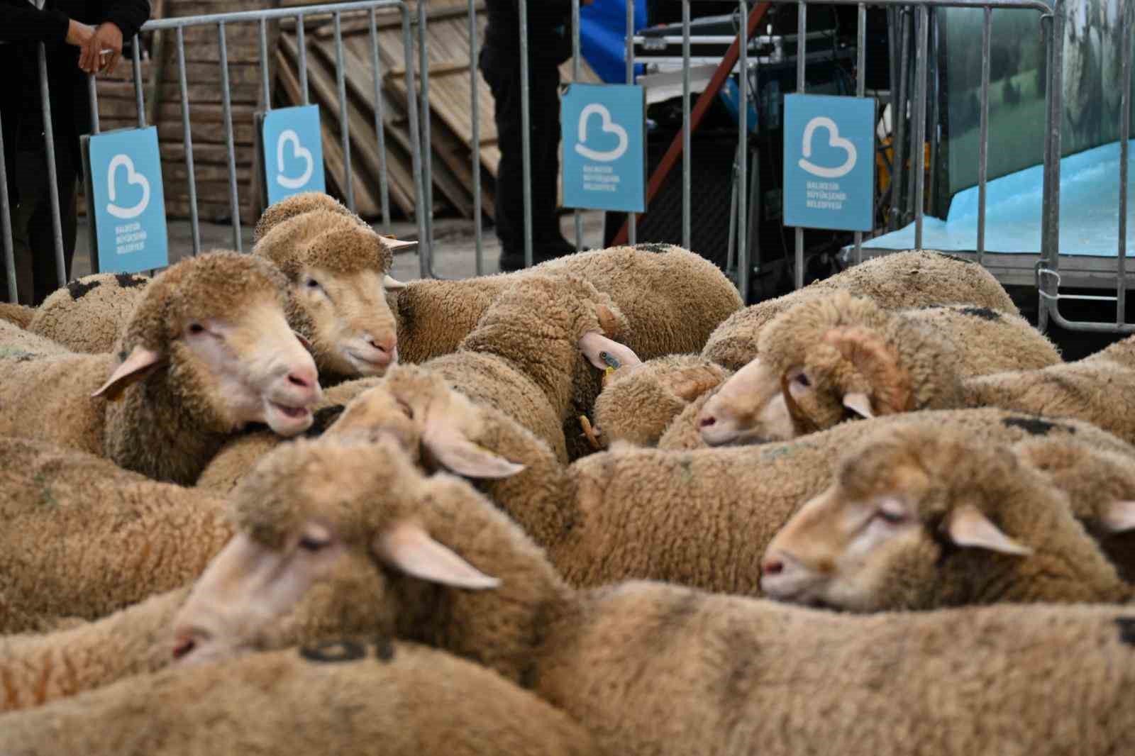 Bigadiçli üreticinin yüzünü Başkan Akın güldürdü
Bigadiçli üreticinin yüzünü Başkan Akın güldürdü