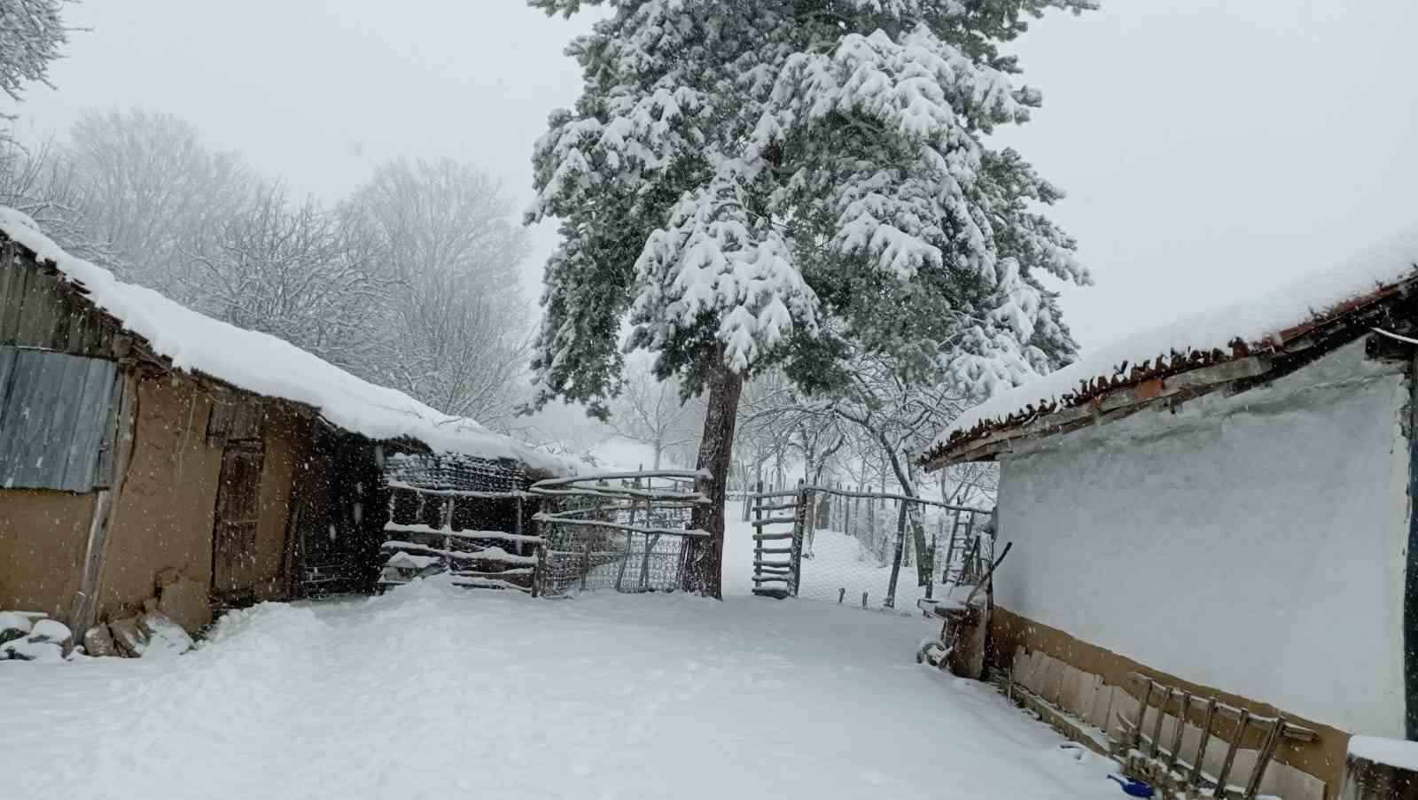 Bilecik bayram sabahına beyaz örtüyle uyandı
