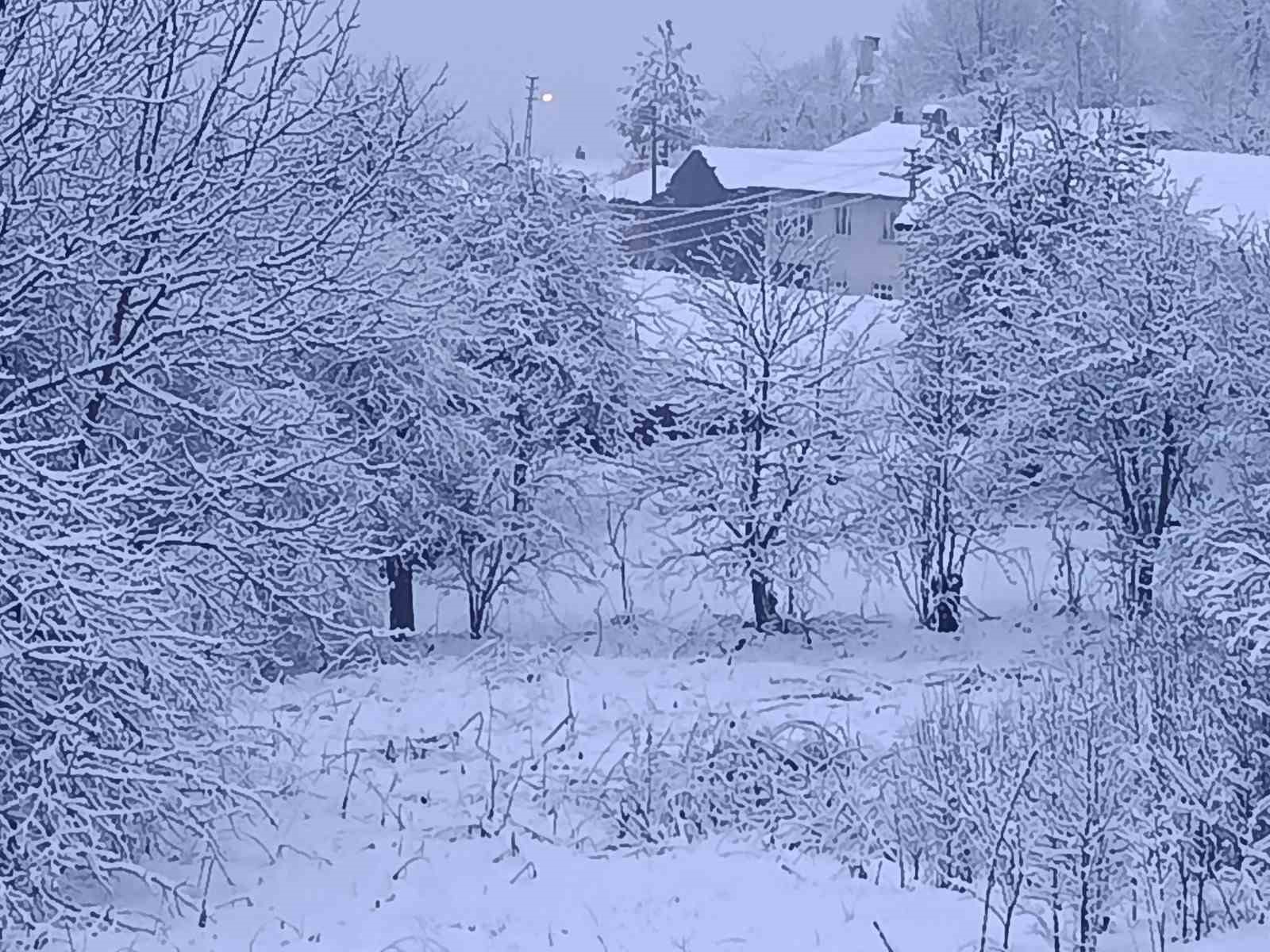 Bilecik bayram sabahına beyaz örtüyle uyandı
