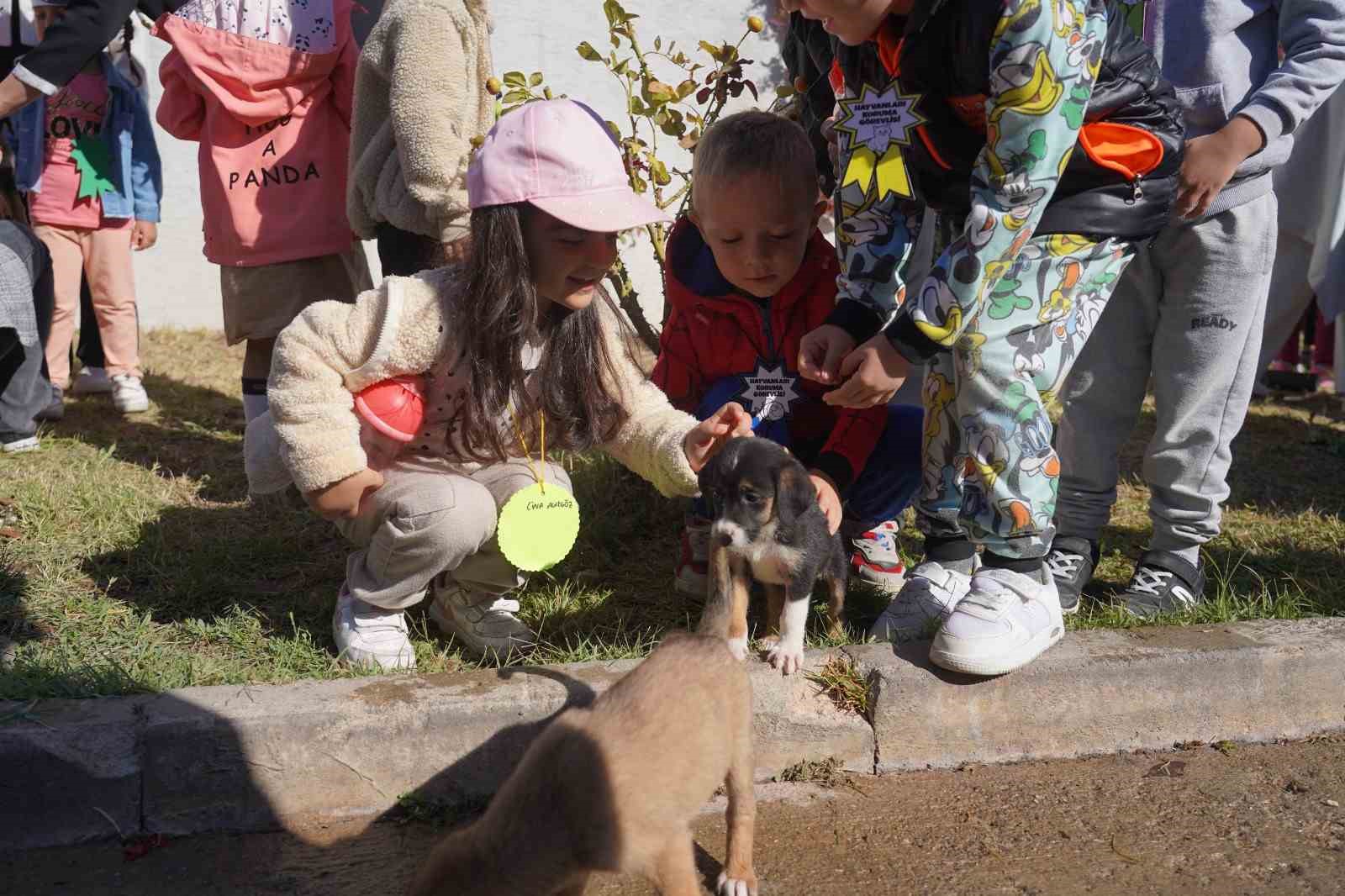 Bilecik Belediyesi Sokak Hayvanları Tedavi ve Rehabilitasyon Merkezi’nde mutlu yaşam
