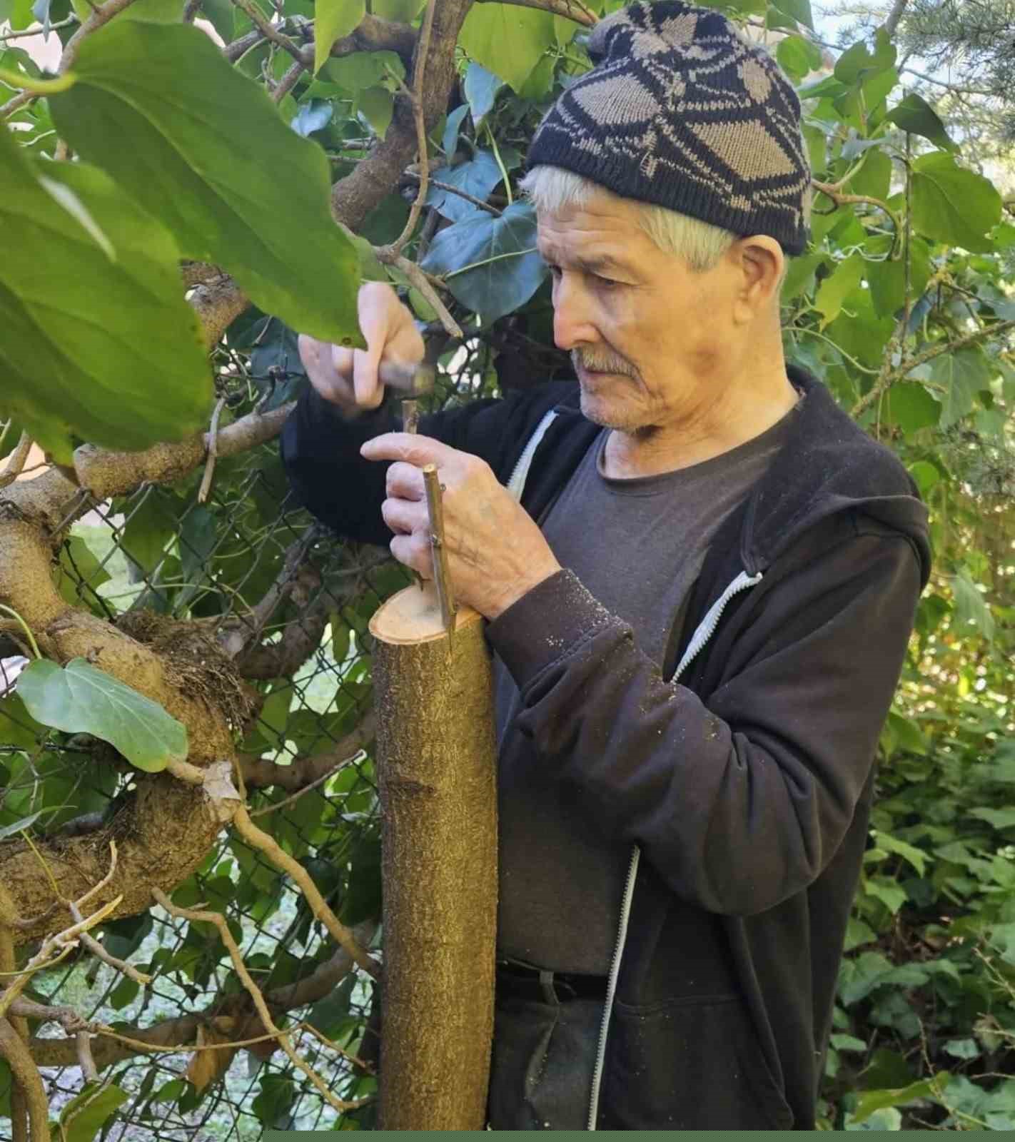 Bilecik huzurevinde kalan yaşlılar bahçeyi güzelleştiriyor
