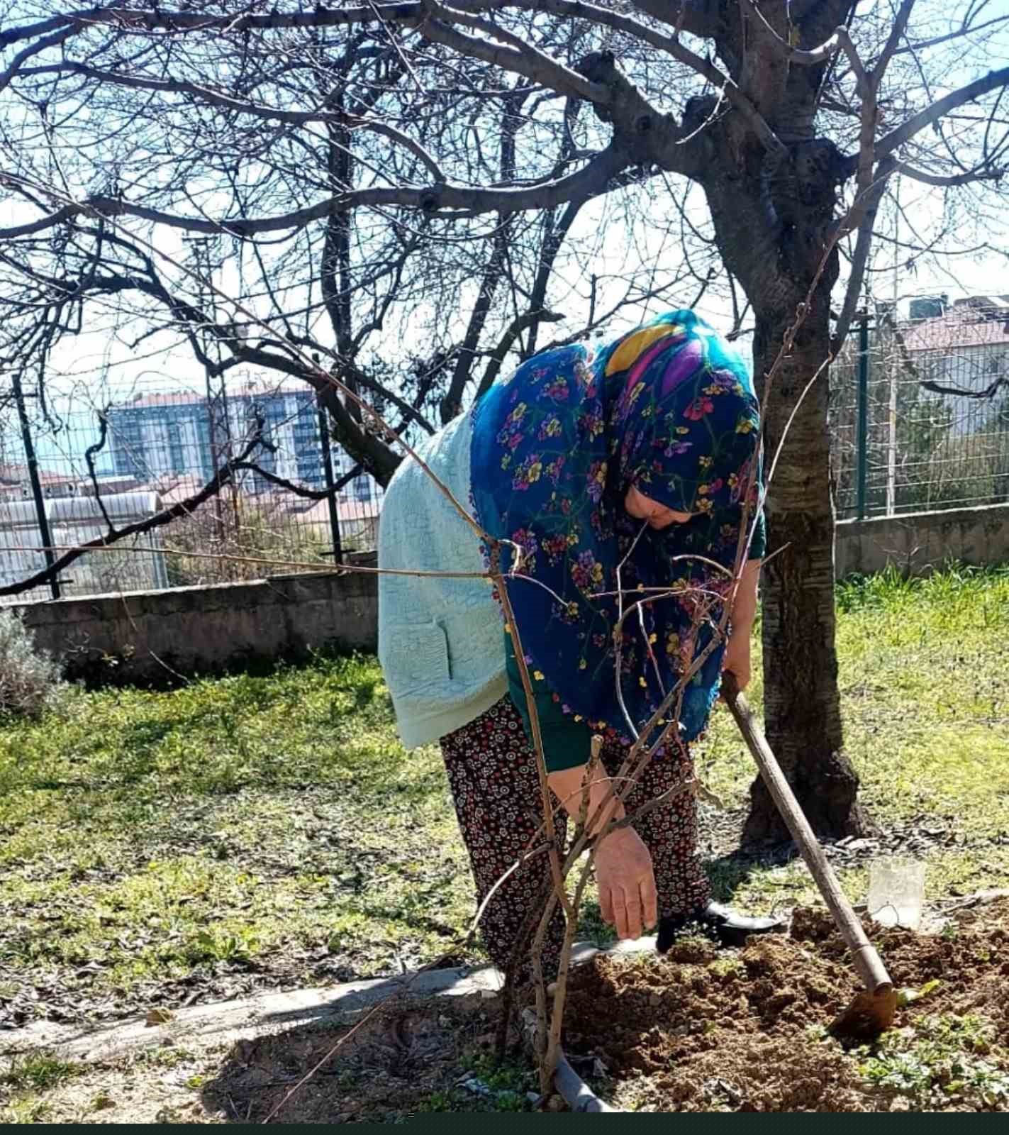 Bilecik huzurevinde kalan yaşlılar bahçeyi güzelleştiriyor
