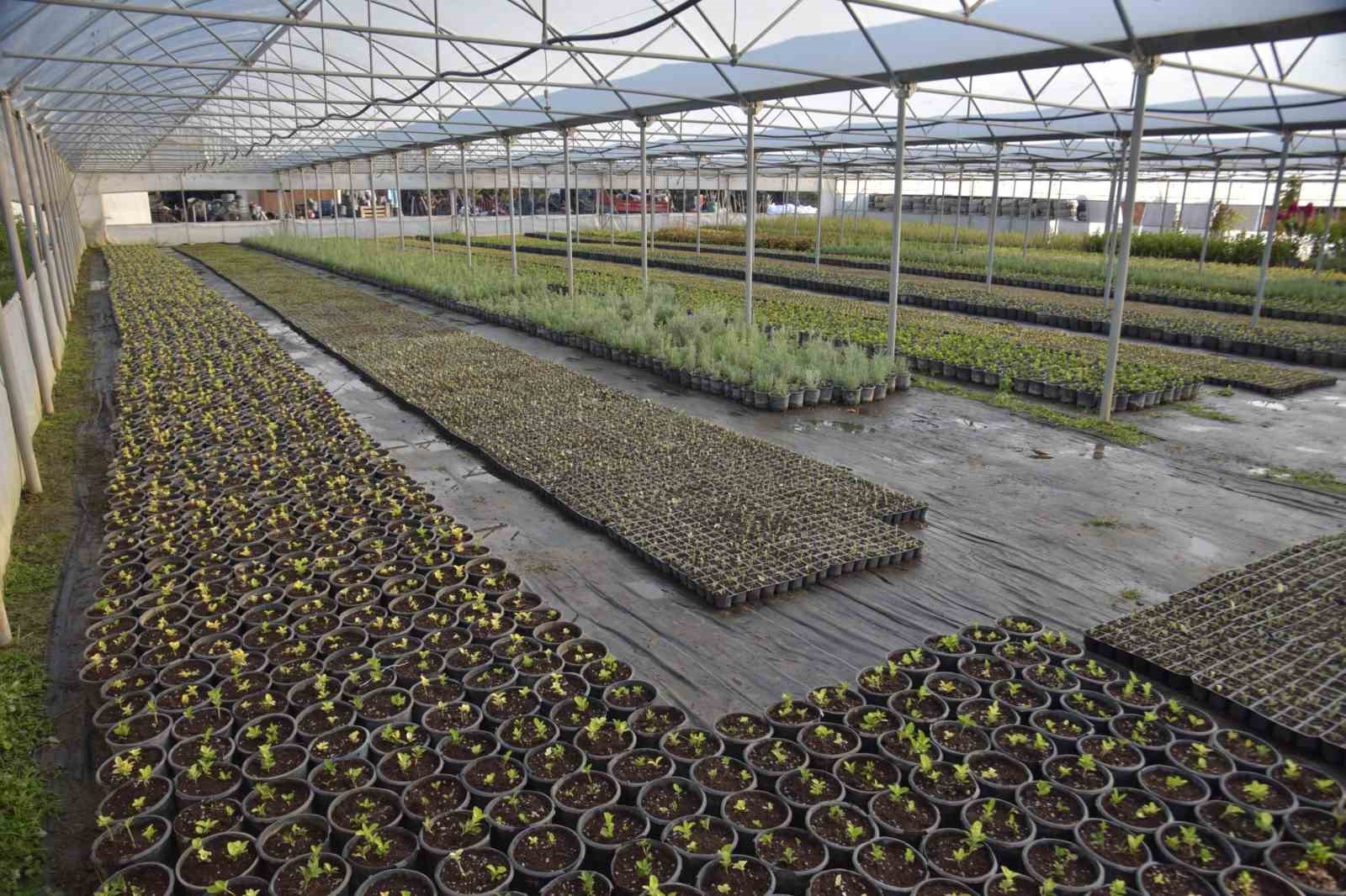 Bilecik’te park ve bahçelerden bahara hazırlık
