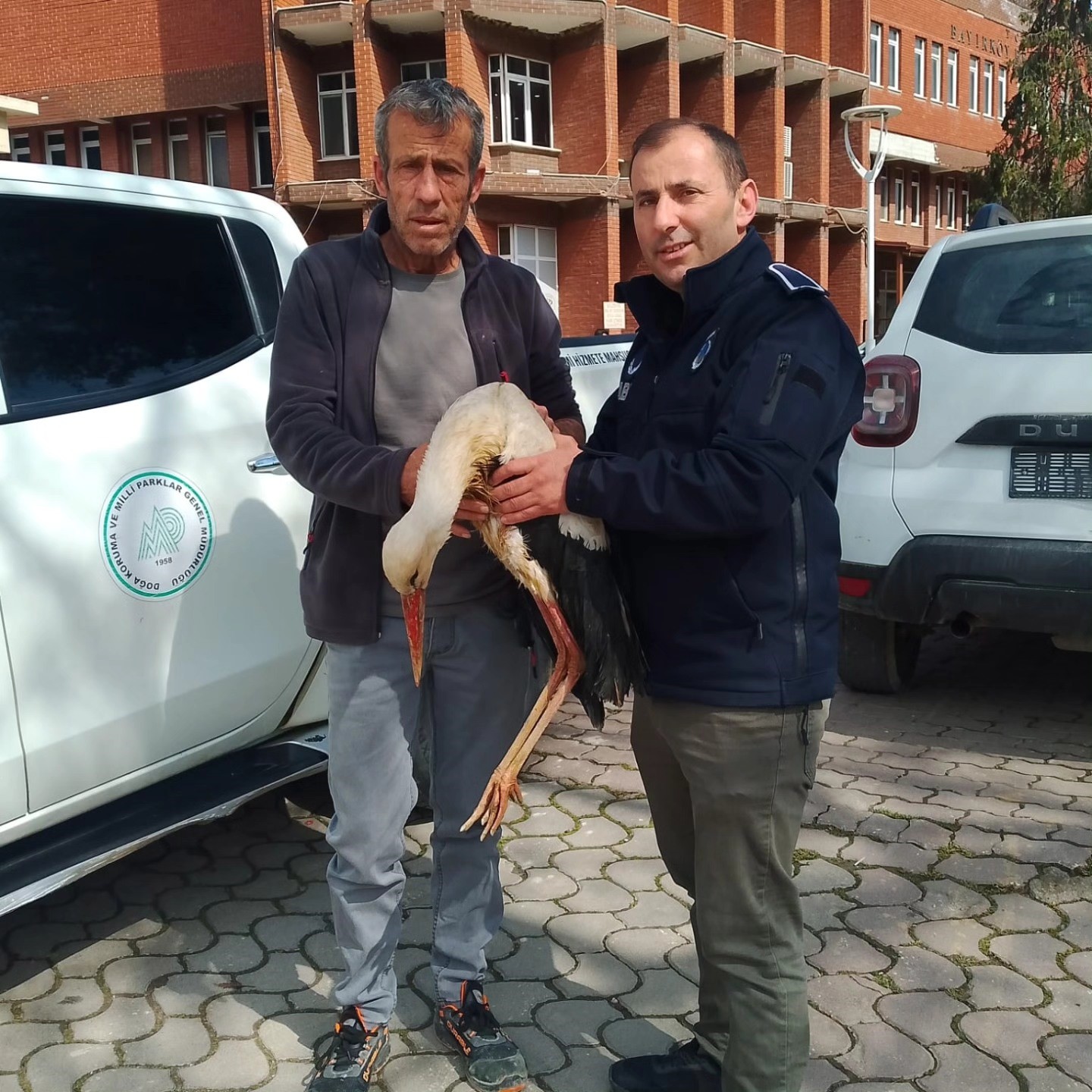 Bilecik’te yaralı leylek koruma altına alındı
