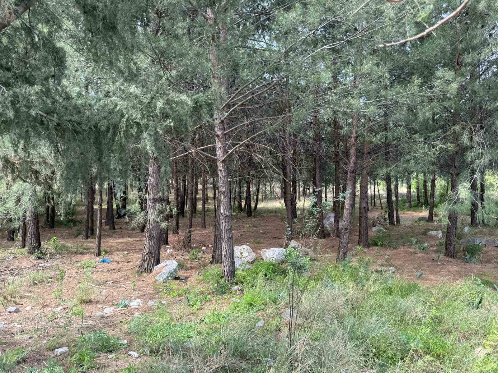 Bilezikler için anneyi ve oğlunu öldüren katil morga gidip, olayı gerçekleştirenleri gördüğünü söylemiş
