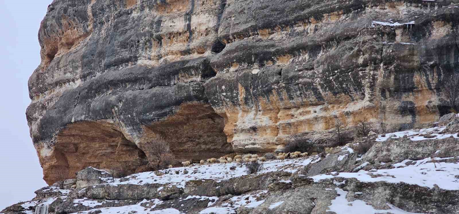 Bin 600 rakımda sürülerin yolculuğu kamerada
