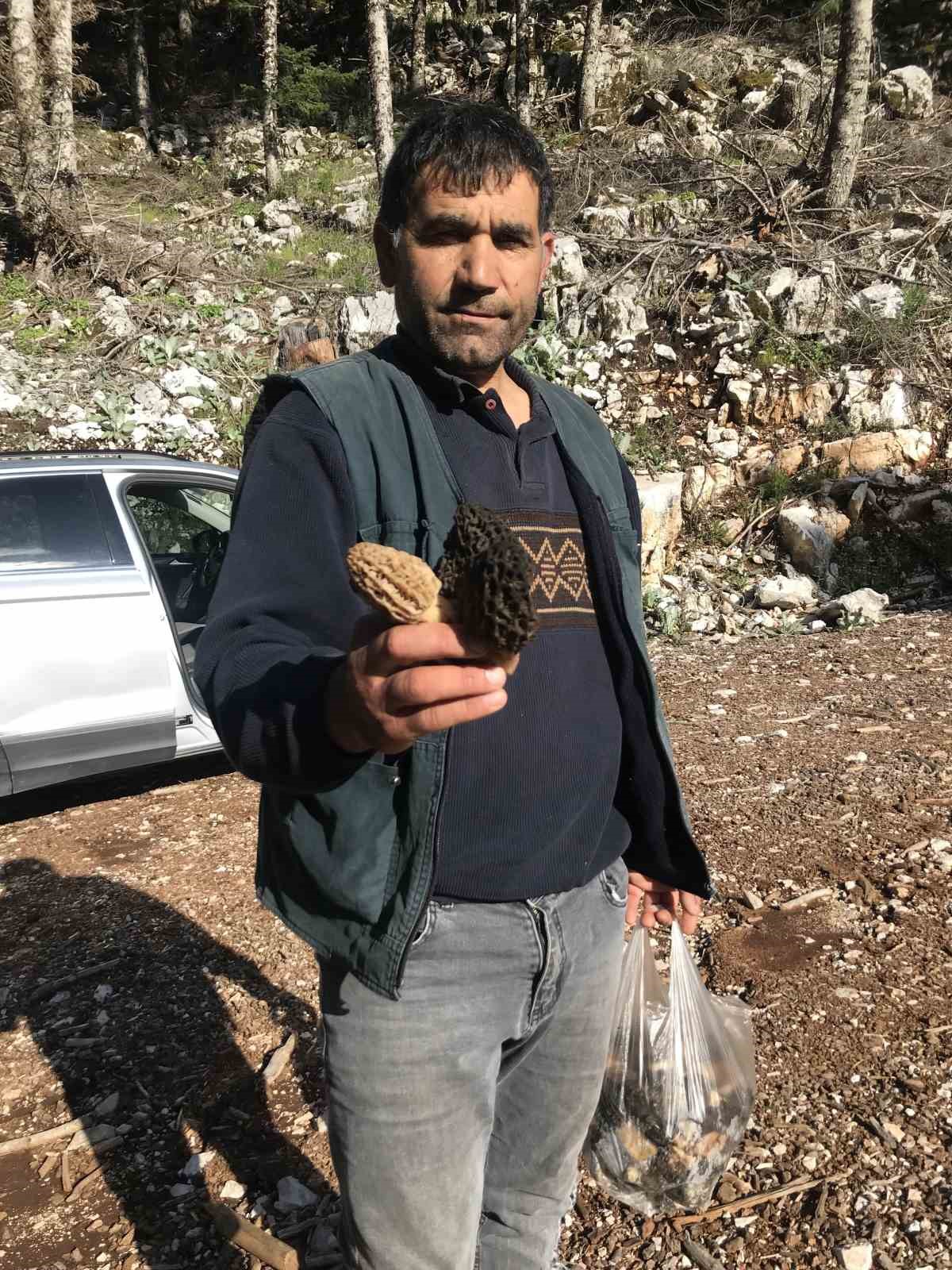 Bin 800 rakımlı dağlardan toplanıp kilosu bin 500 liradan satılıyor
Bin 800 rakımlı dağlardan toplanıp kilosu bin 500 liradan satılıyor