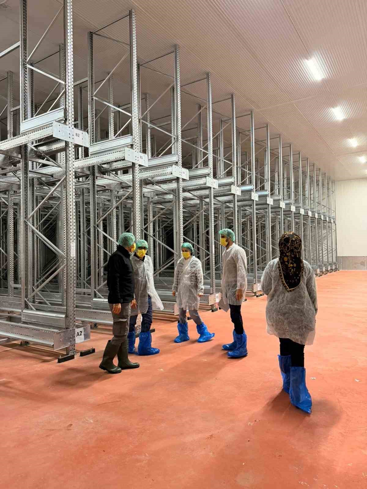 Bingöl’de balık işleme tesisleri denetlendi
