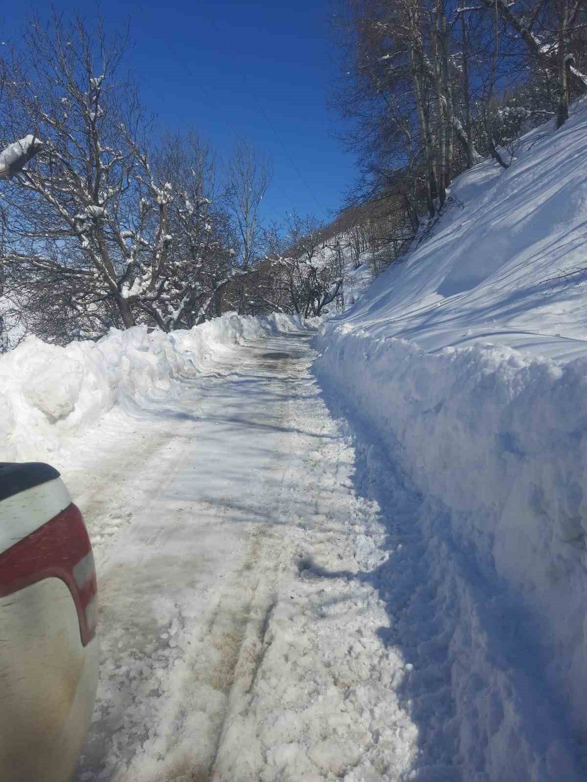 Bingöl’de kapalı köy yolları bir bir açılıyor
