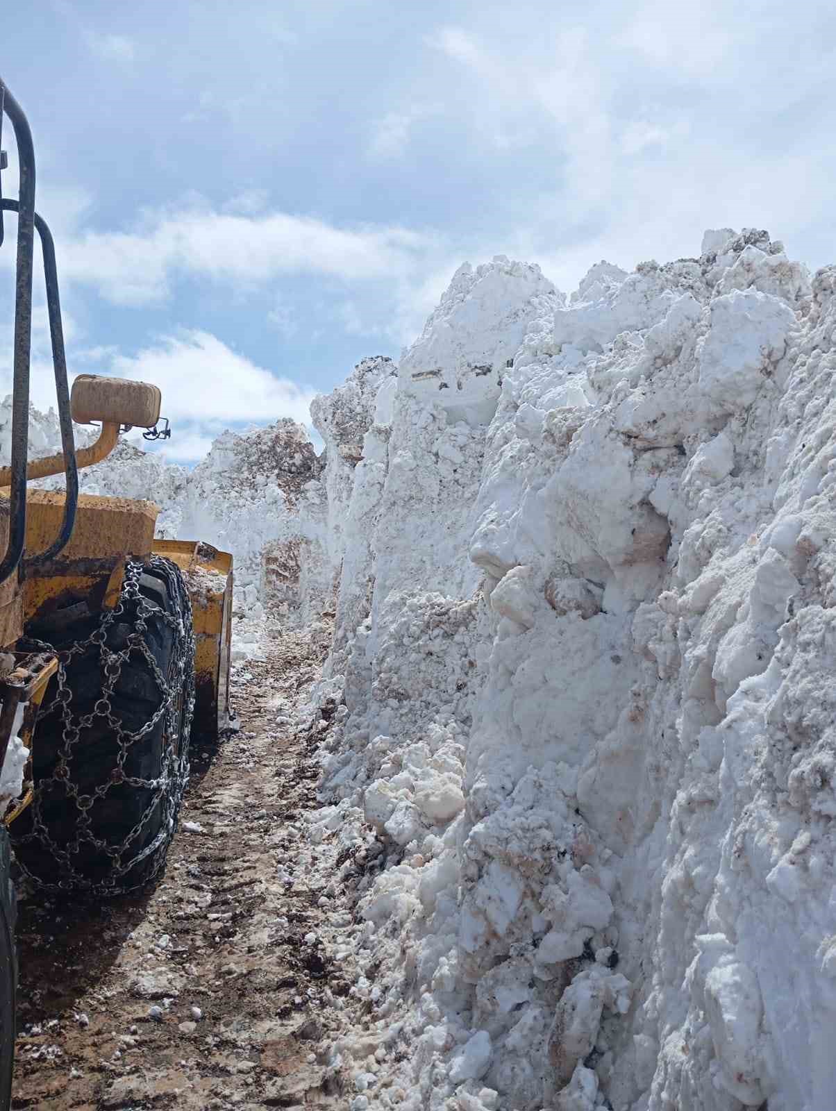 Bingöl’de metrelerce karla mücadele
