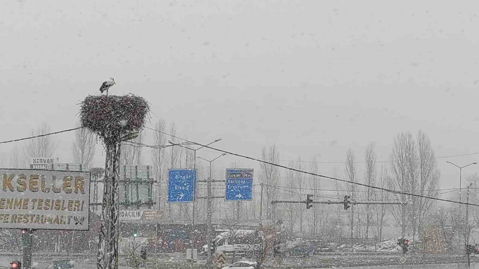 Bingöl’e erken gelen leylekler kara yakalandı

