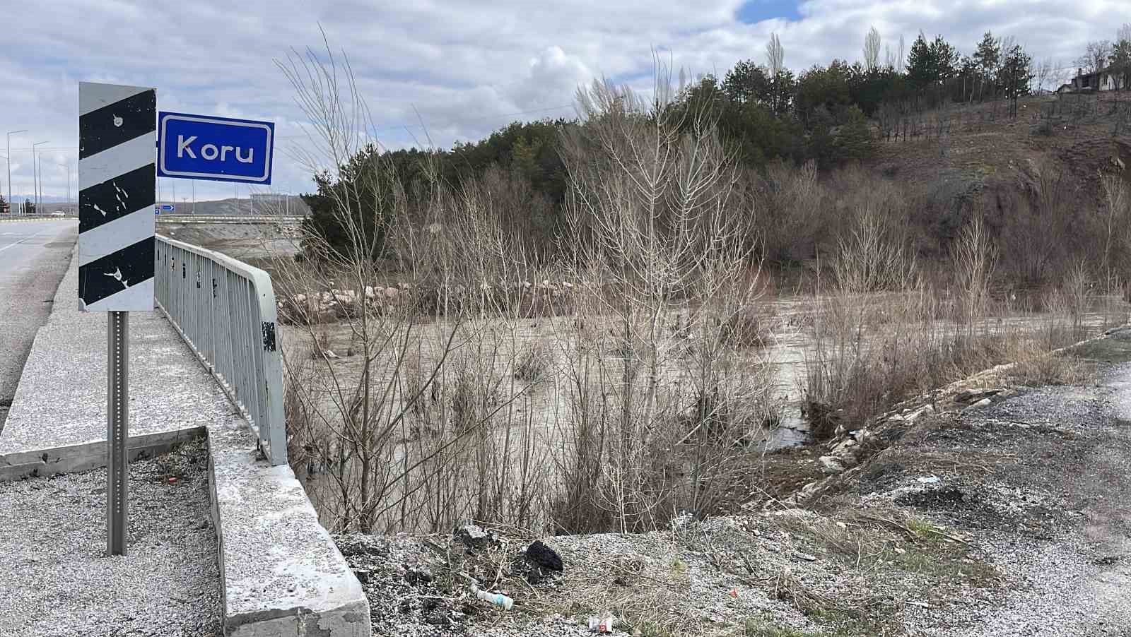 Bir dönem tamamen kuruyan nehir, yeniden coştu
