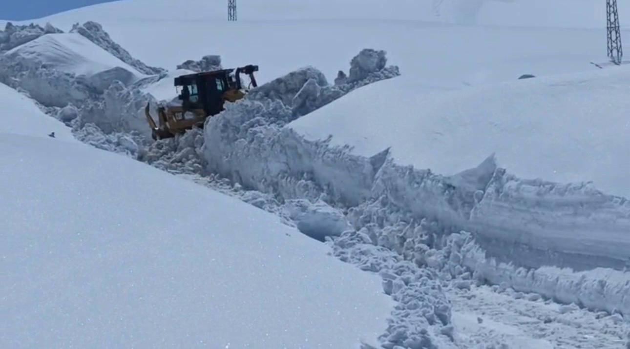 Bir yanda karla mücadele, diğer yanda budama çalışmaları sürüyor
