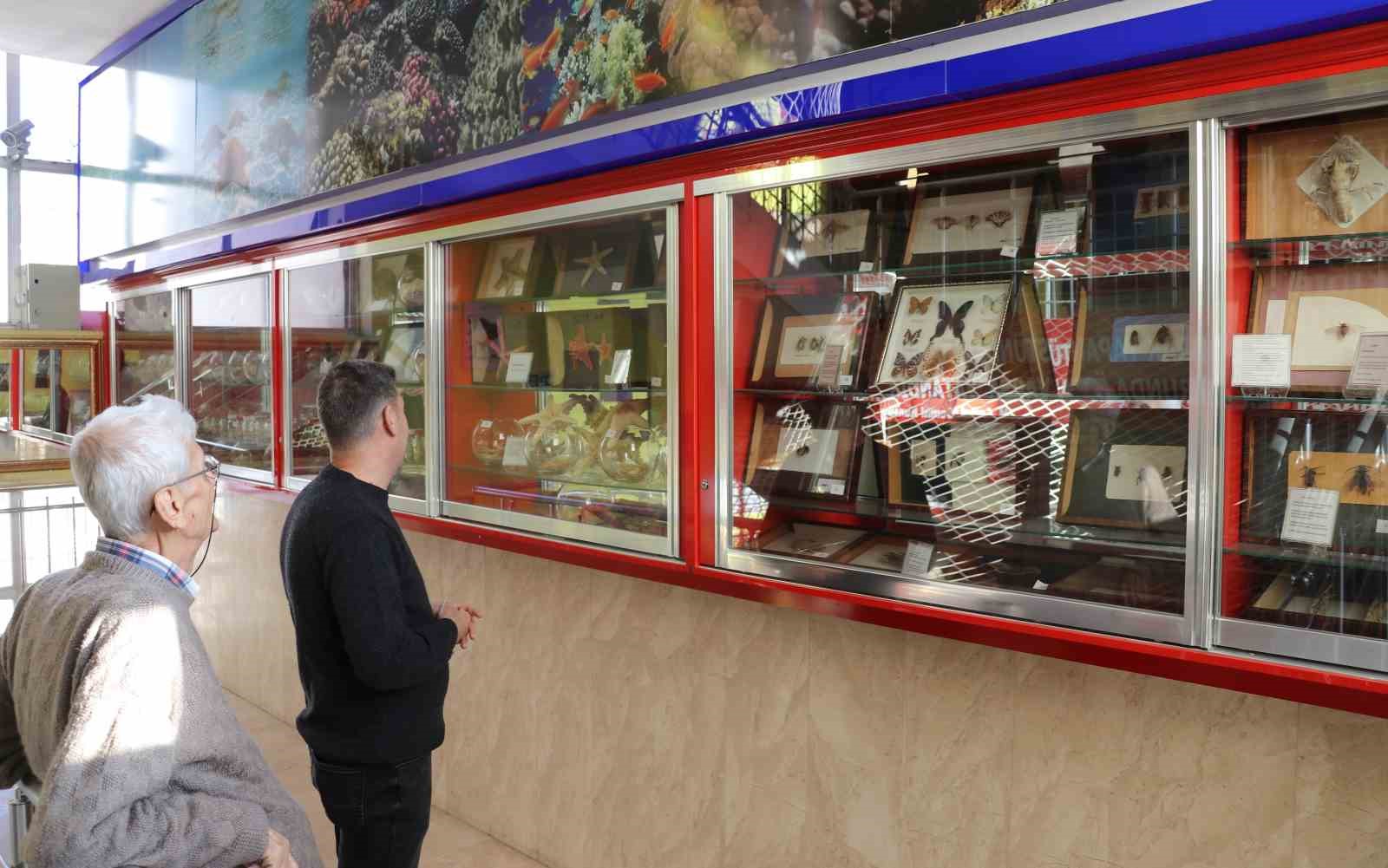 Bir yumurta ile başladığı biyoloji merakını müzeye dönüştürdü
Bir yumurta ile başladığı biyoloji merakını müzeye dönüştürdü