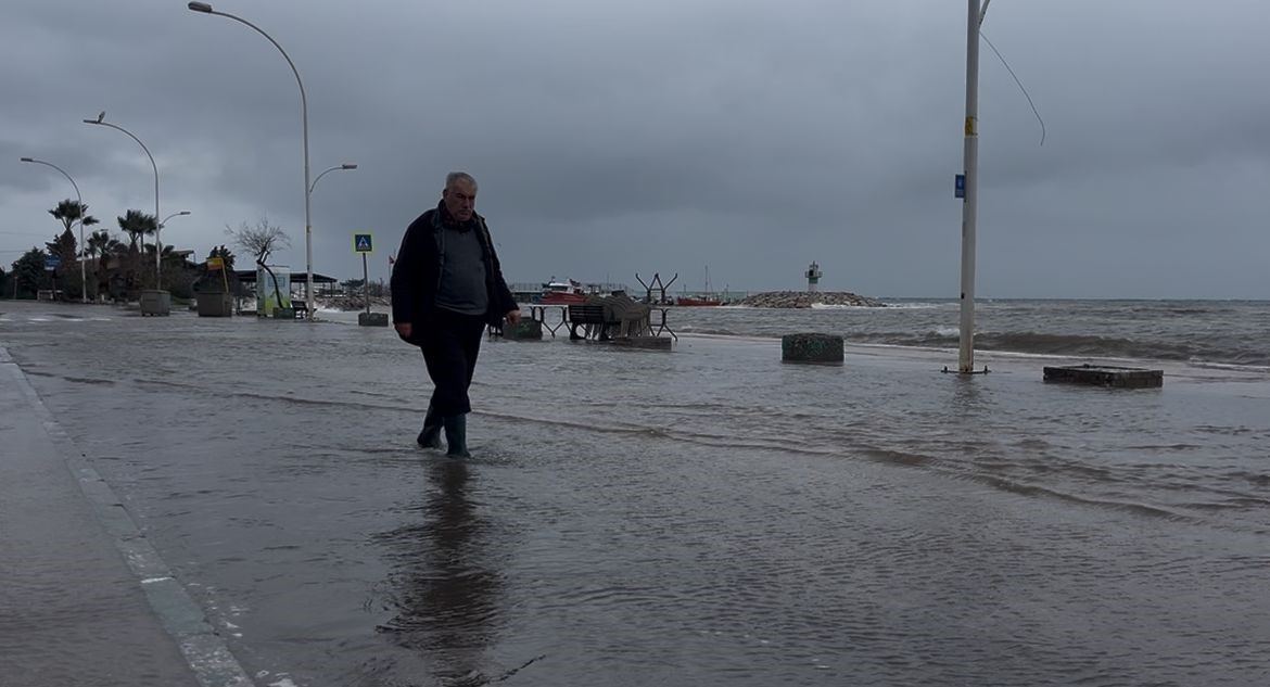 "Birazdan balıklar gelir" dedi, kuşlar sahil yolunda avladı
