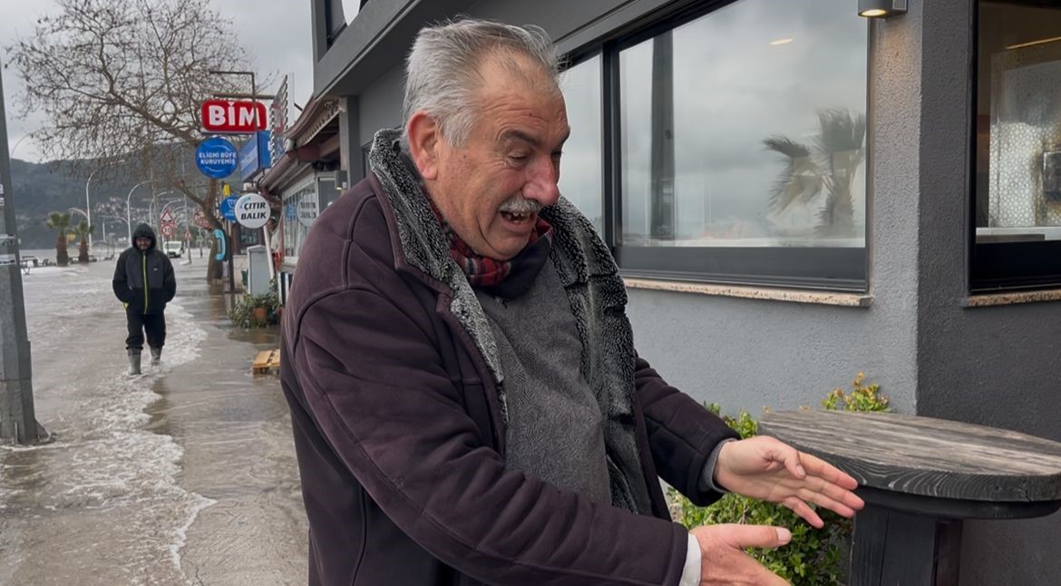 "Birazdan balıklar gelir" dedi, kuşlar sahil yolunda avladı
