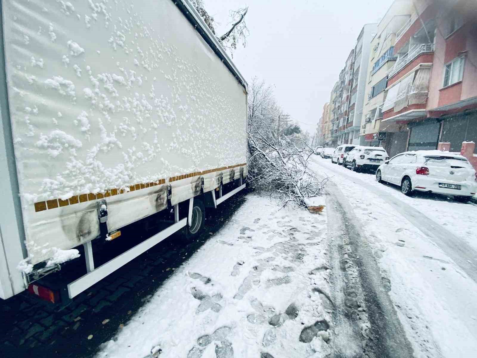 Birecik’te karın ağırlığına dayanamayan ağaç dalları araçların üzerine devrildi
