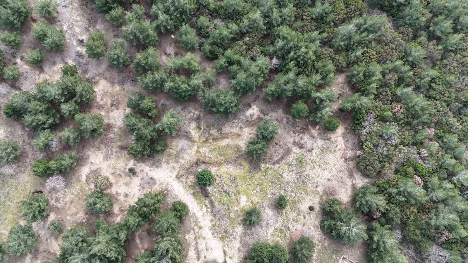 Birinci Dünya Savaşı’ndaki en meşhur Türk askeri fotoğraflarından biri olan fotoğrafın 125. Alay’a ait olduğu ortaya çıktı

